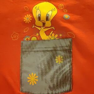 Tweety Graphic Tee in Pink🩷